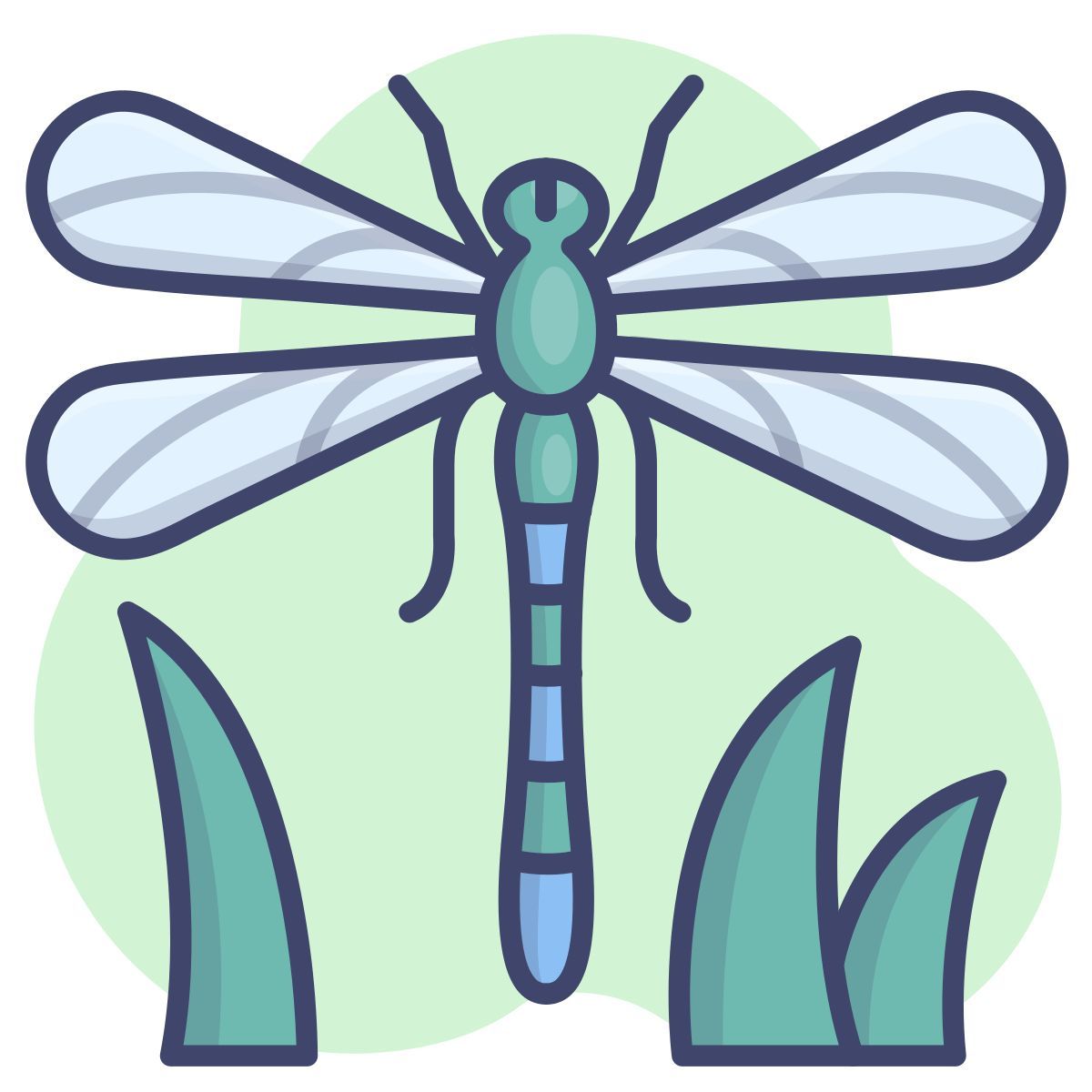 dragonfly icon