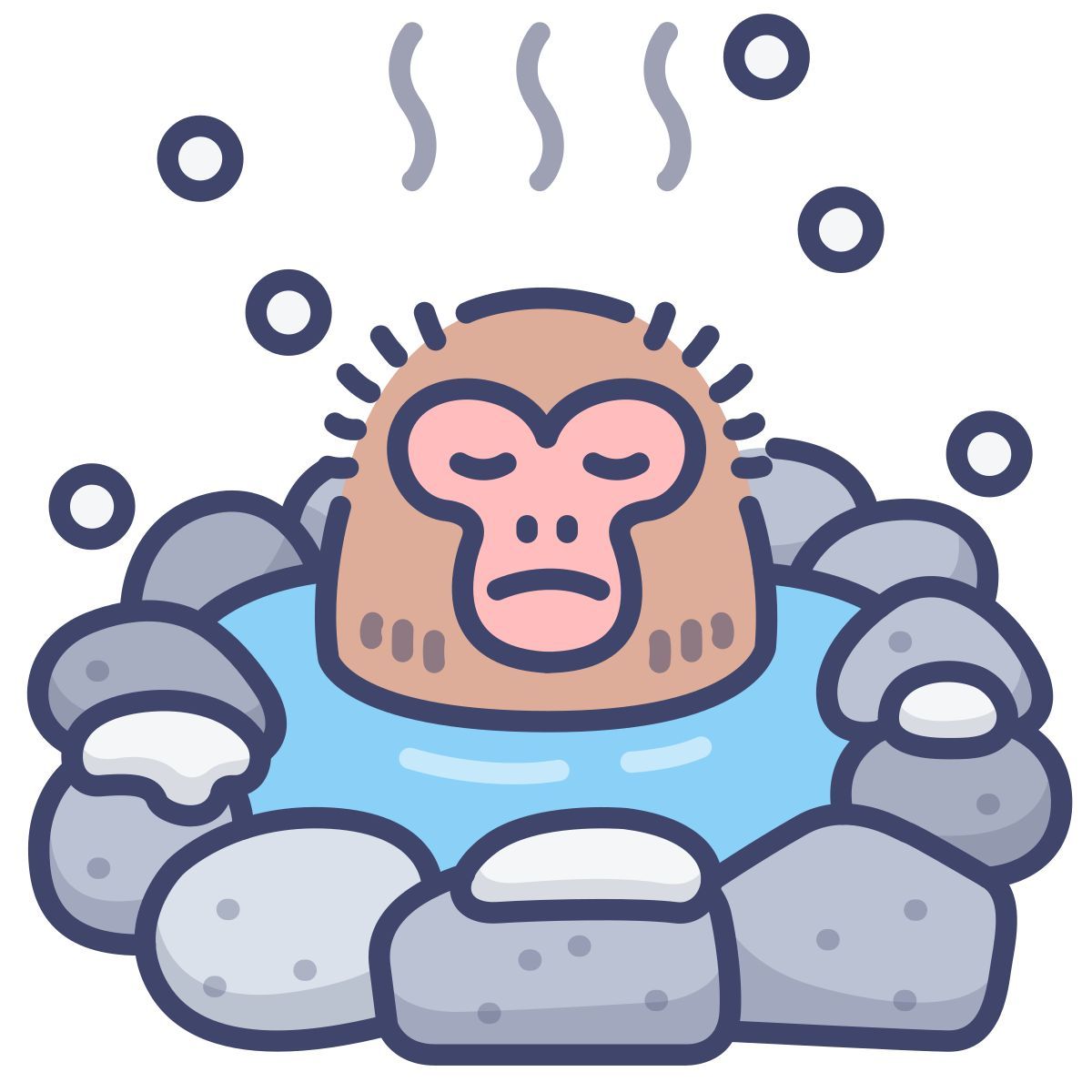 monkey icon