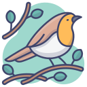 external bird-animal-kingdom-vol2-microdots-premium-microdot-graphic icon