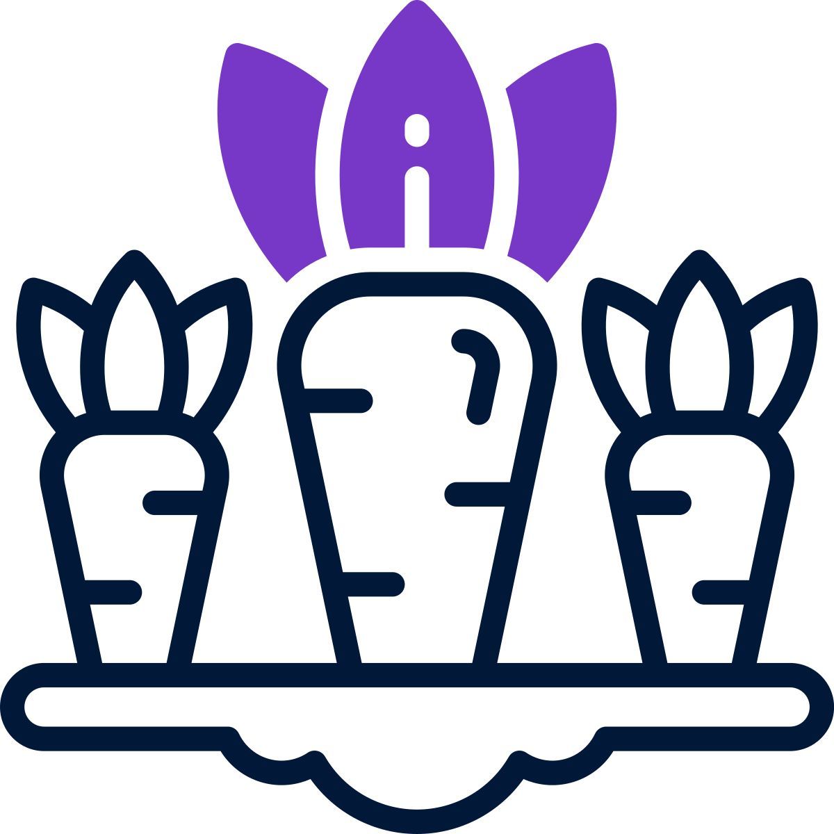 carrot icon