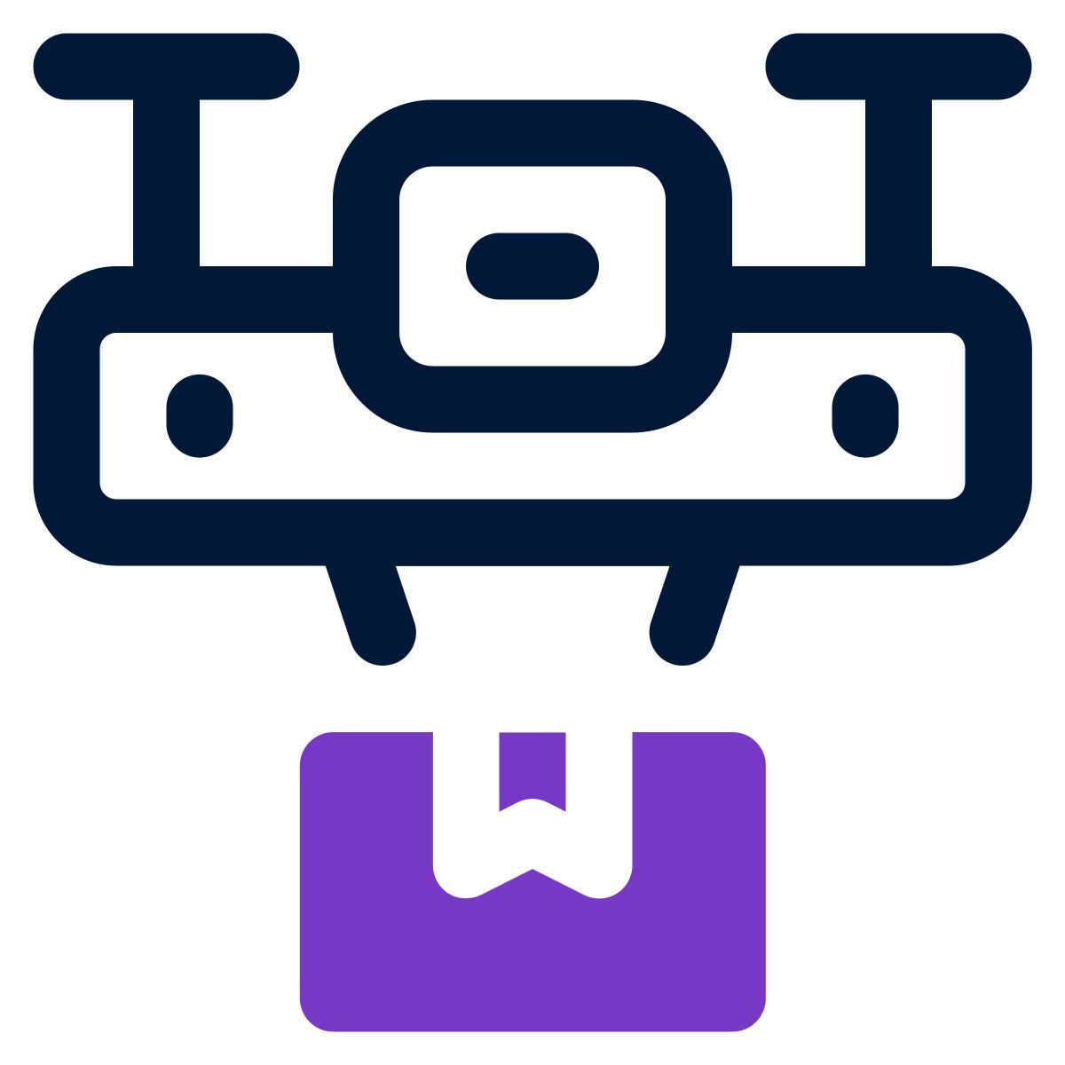 drone delivery icon
