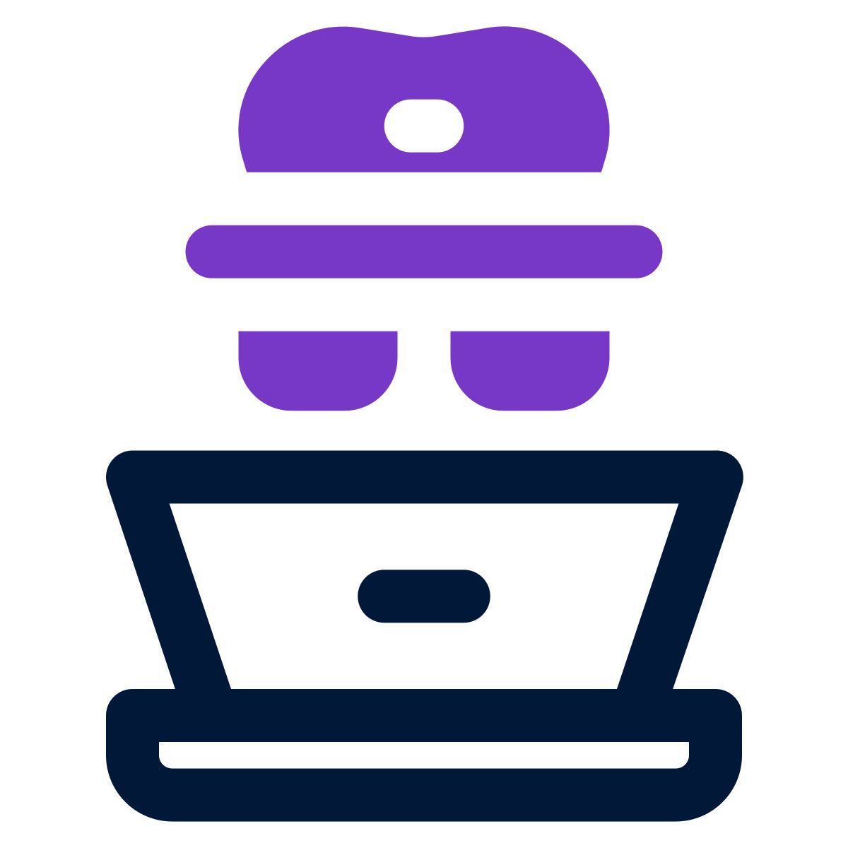 pirate informatique icon
