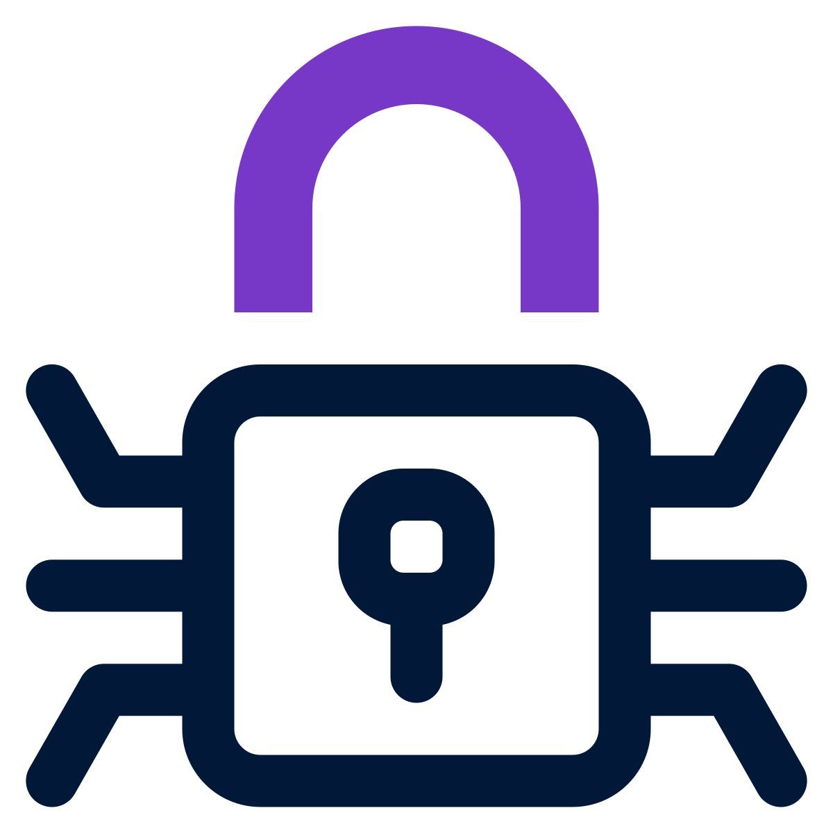 internet security icon