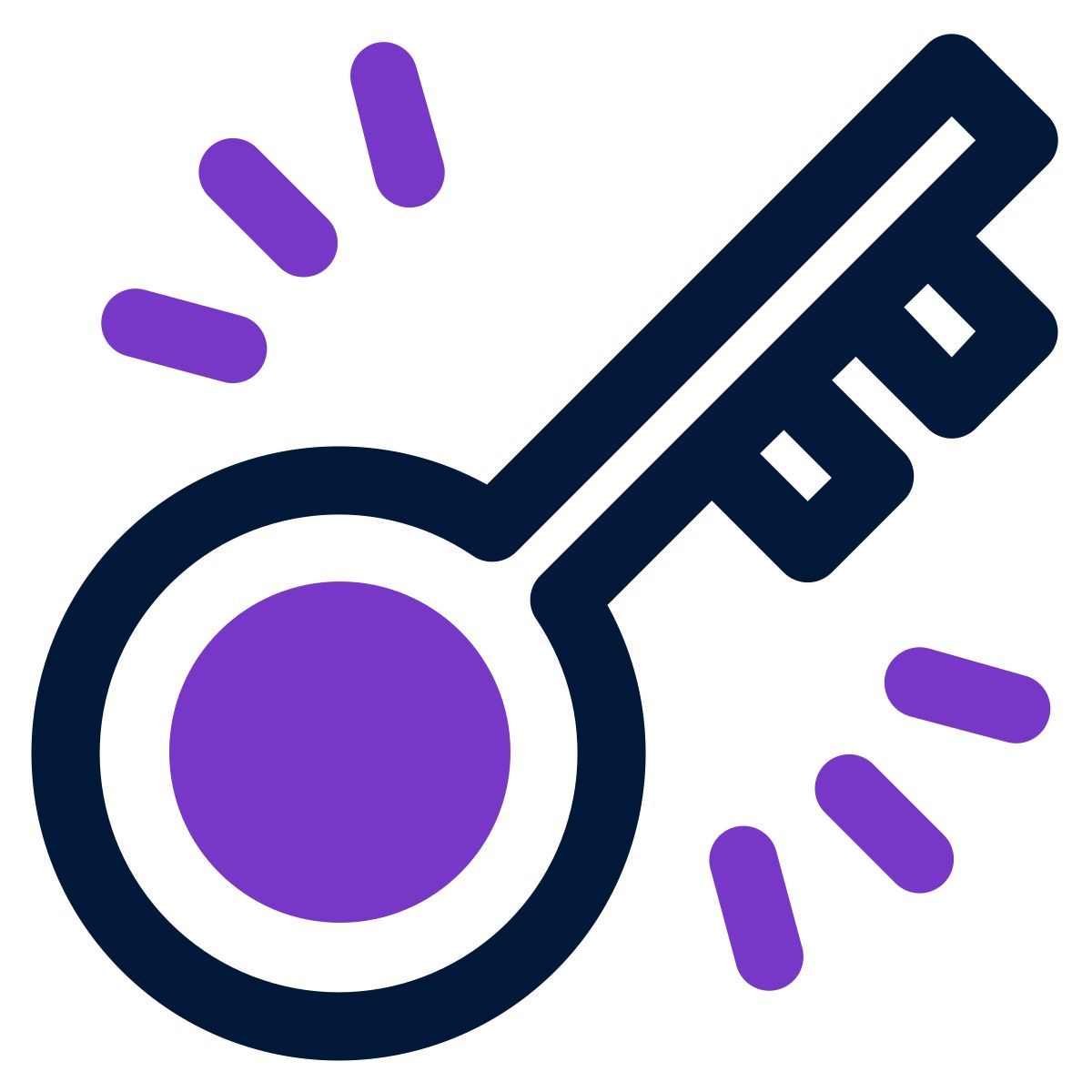 key icon