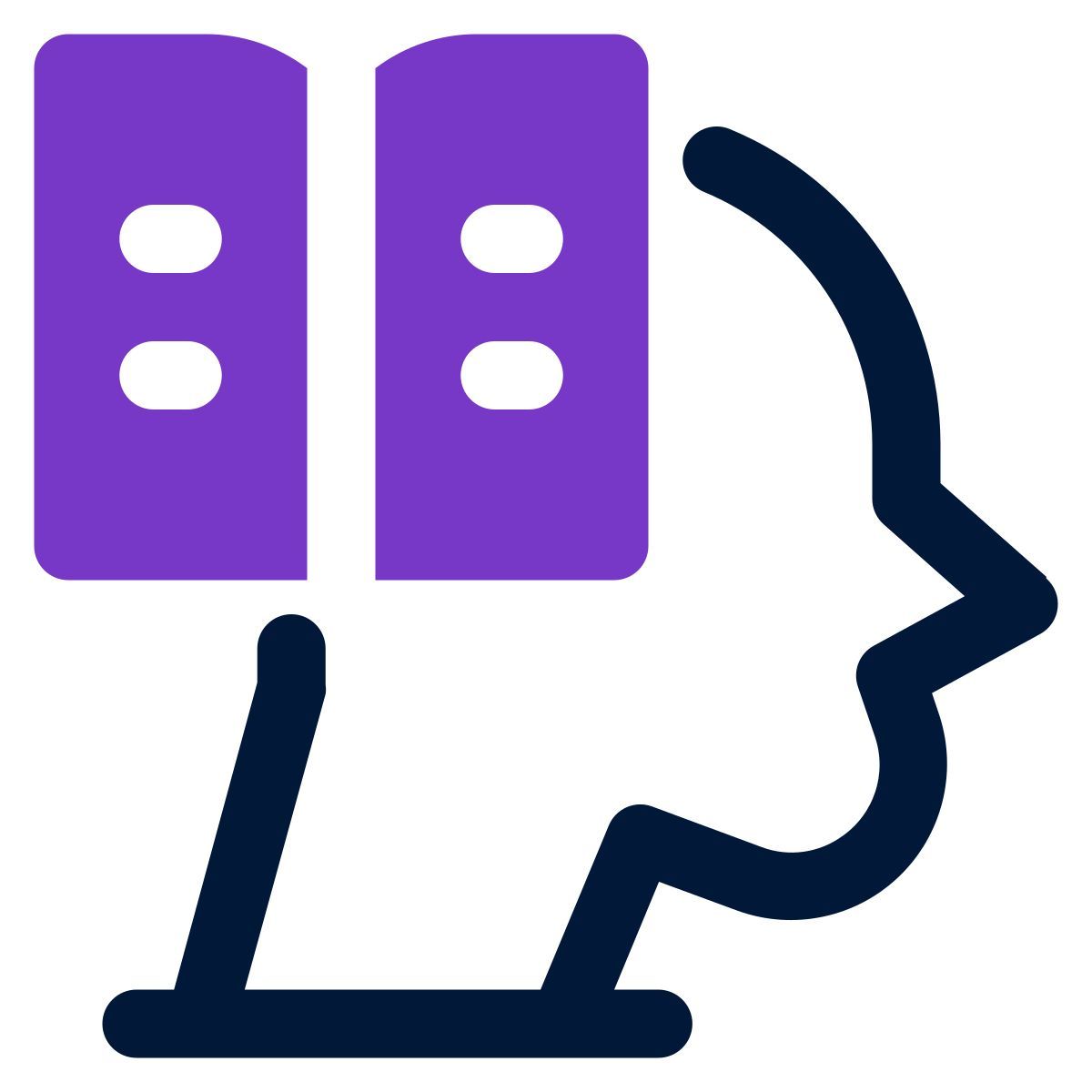 knowledge icon