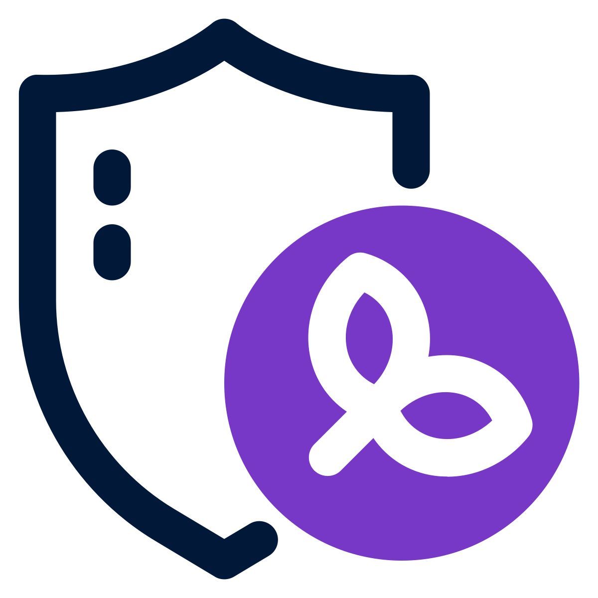 secure icon
