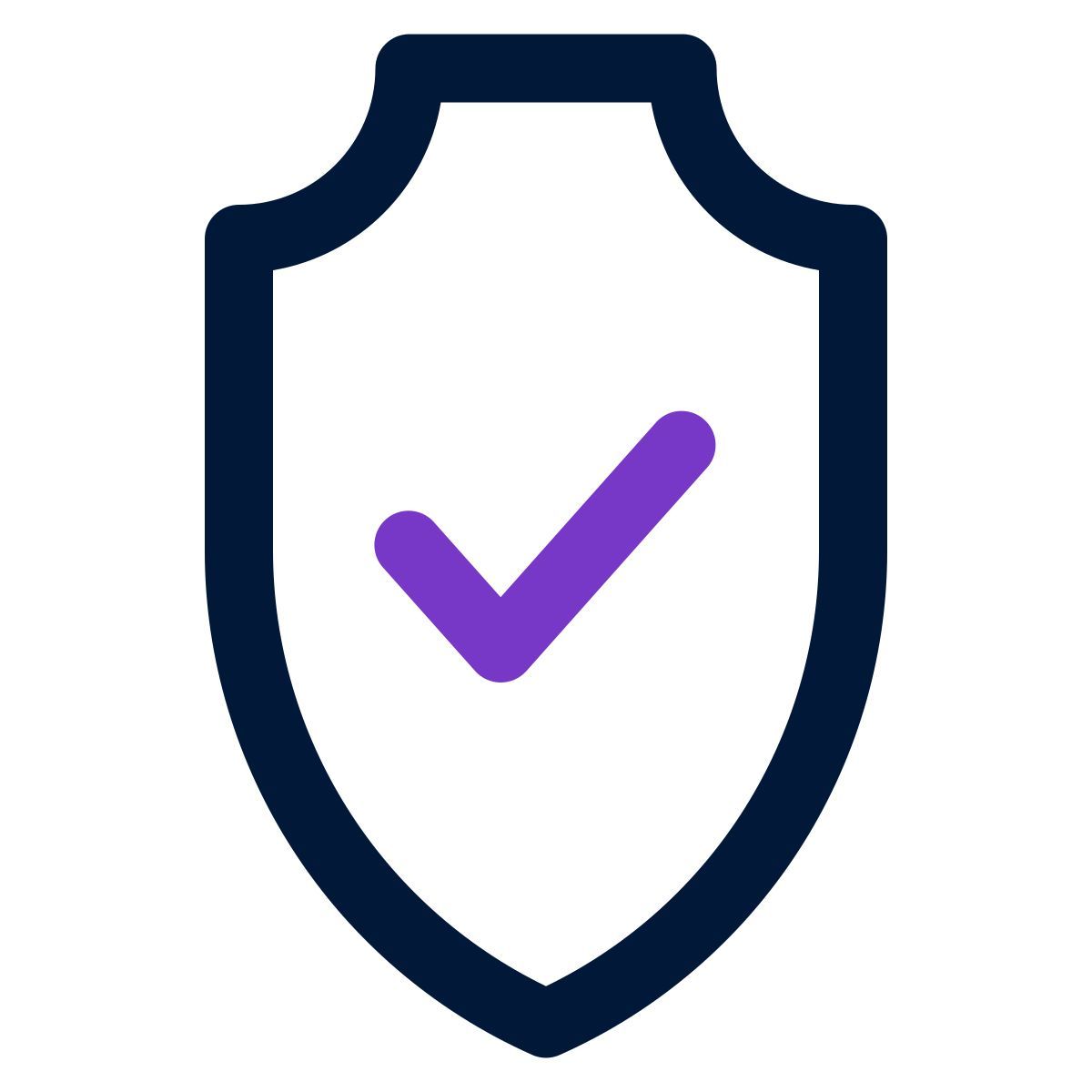 shield icon