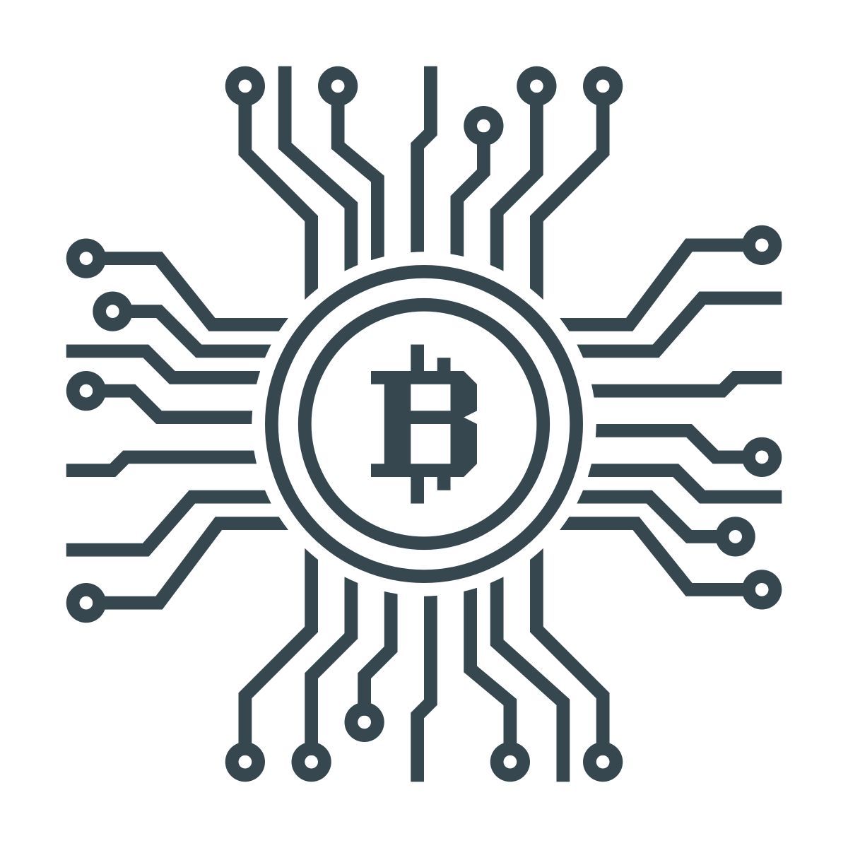 bitcoin icon