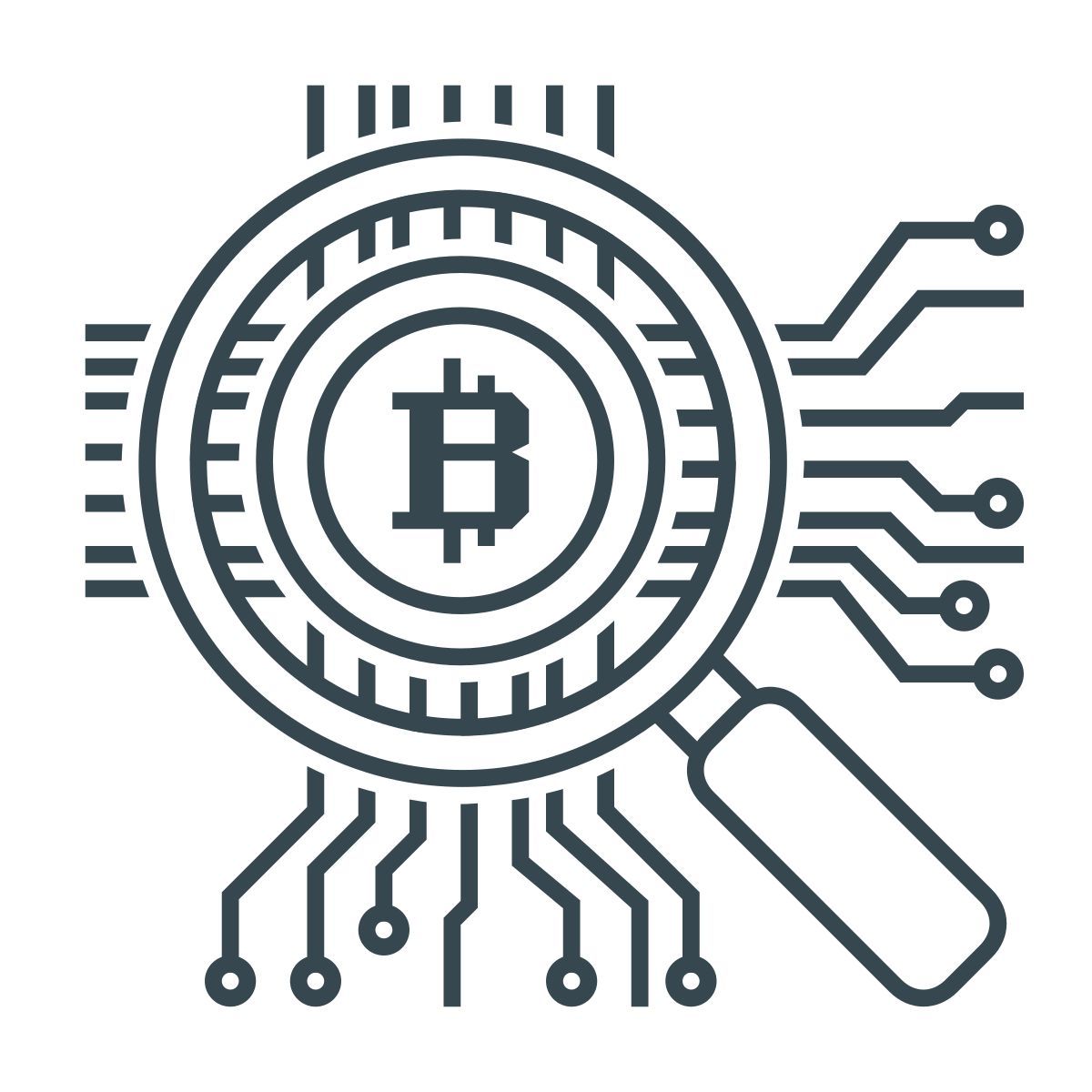 bitcoin icon