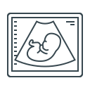 external embryo-healthcare-and-medicine-modern-lines-kalash icon