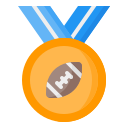 external Medal-american-football-nawicon-flat-nawicon icon