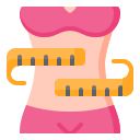 external Weight-Loss-healthy-diet-nawicon-flat-nawicon icon