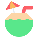 external coconut-drink-beach-nawicon-flat-nawicon icon
