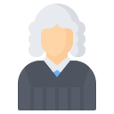 external judge-law-and-justice-nawicon-flat-nawicon icon