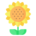 external sunflower-gardening-nawicon-flat-nawicon icon