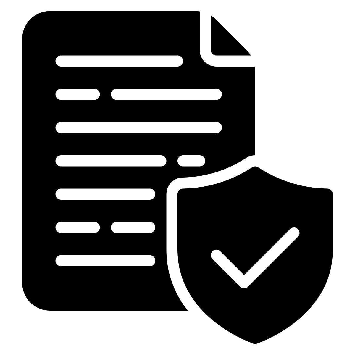 file security icon