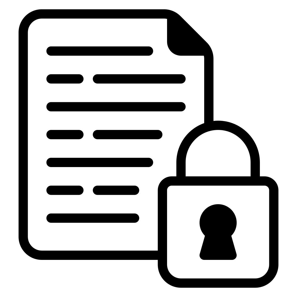 file security icon
