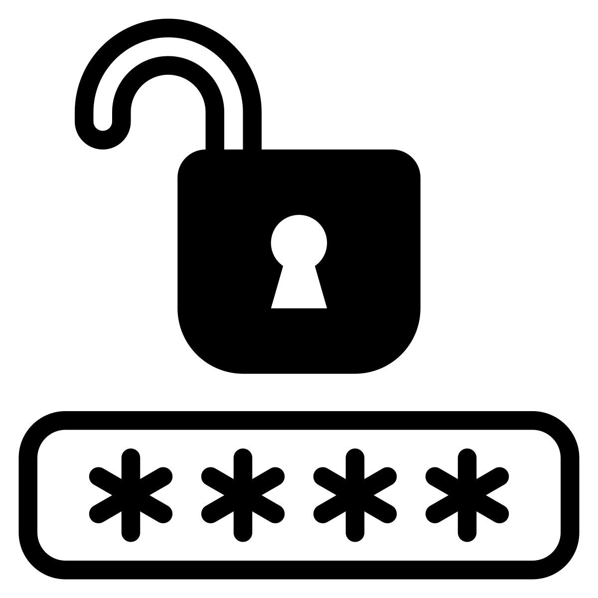password icon