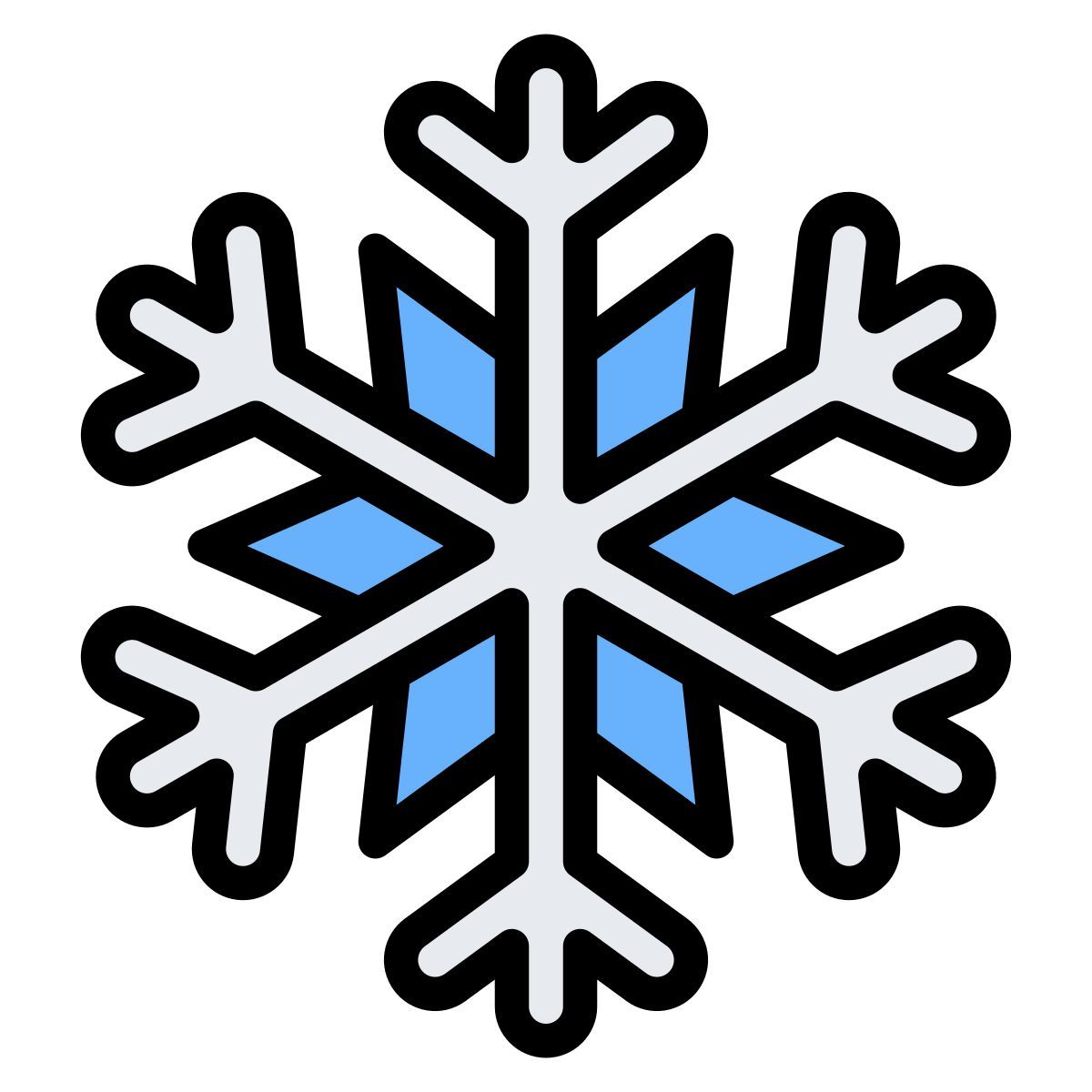 snowflake icon