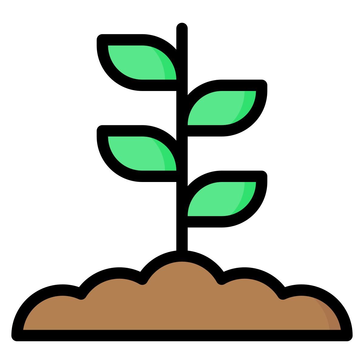 sprout icon