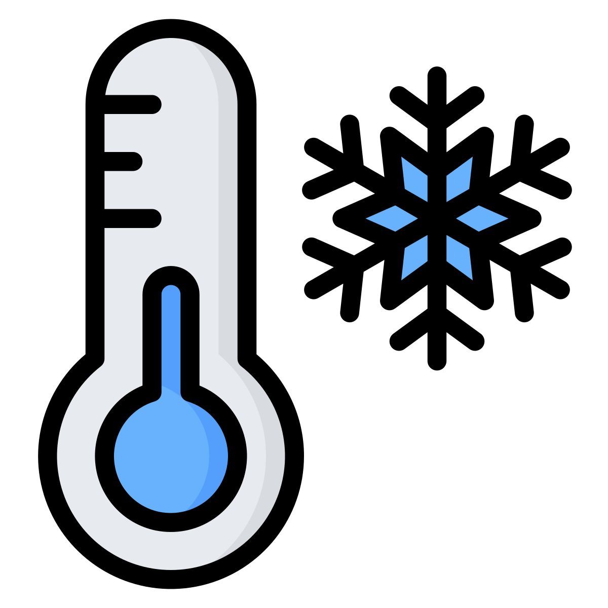 thermometer icon