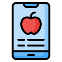 external Application-healthy-diet-nawicon-outline-color-nawicon icon