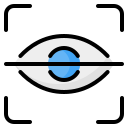 external Eye-Recognition-internet-security-nawicon-outline-color-nawicon icon