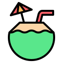 external coconut-drink-beach-nawicon-outline-color-nawicon icon
