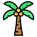 external coconut-tree-beach-nawicon-outline-color-nawicon icon