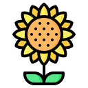 external sunflower-gardening-nawicon-outline-color-nawicon icon