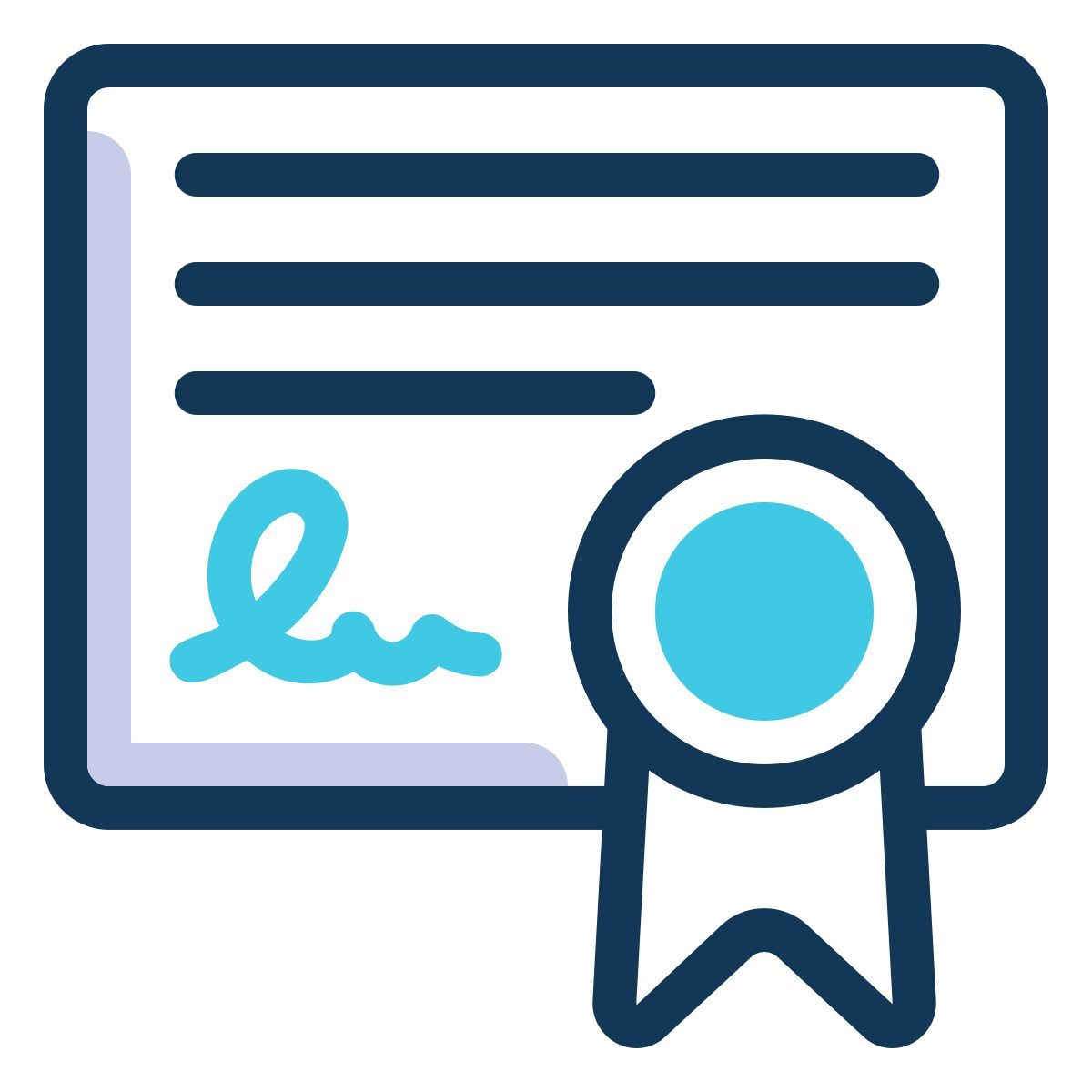 certificate icon