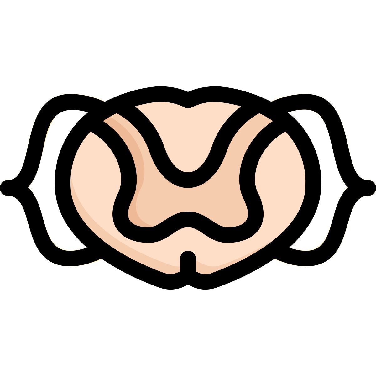 Anatomy icon