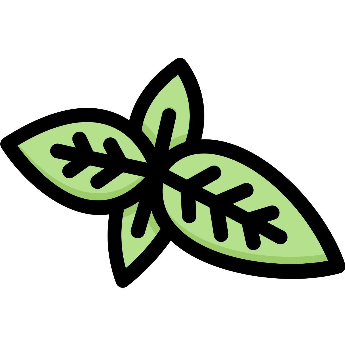basil icon