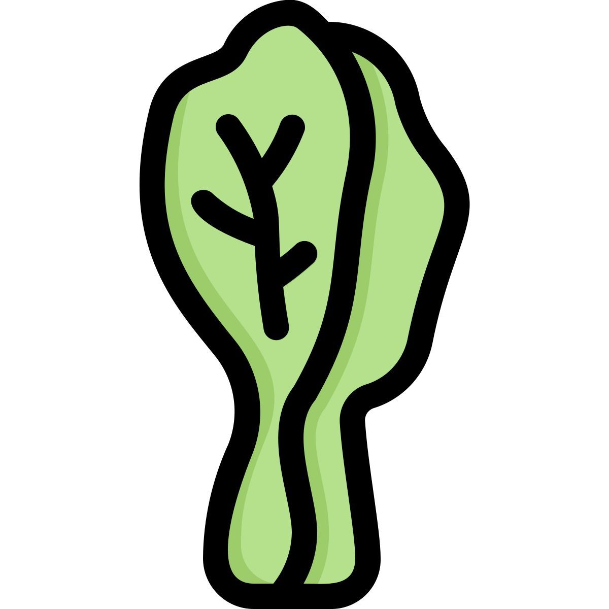 chinese cabbage icon