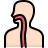external anatomy-anatomy-color-obivous-color-kerismaker-2 icon