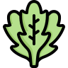 external arugula-vegetable-color-obivous-color-kerismaker icon