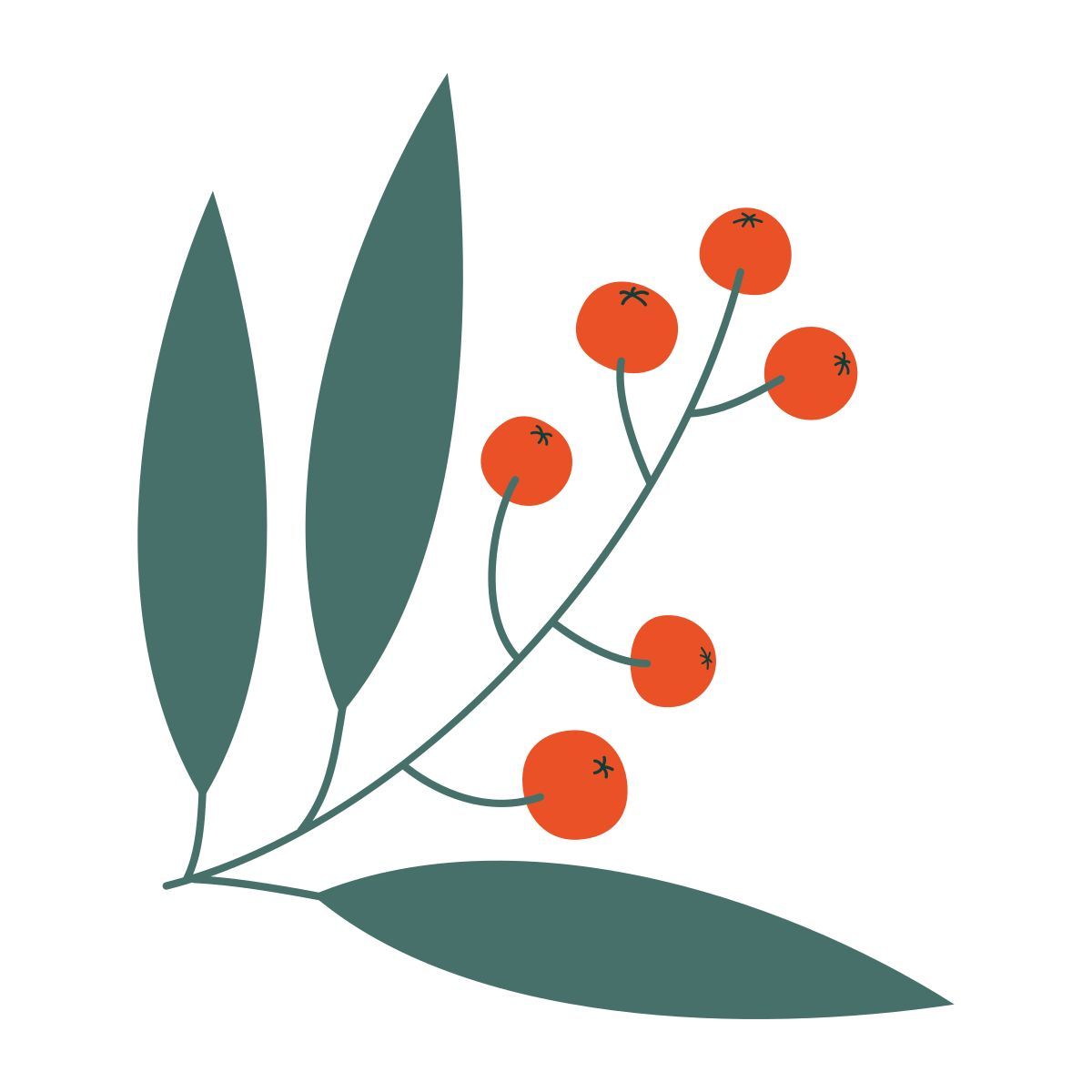 berries icon