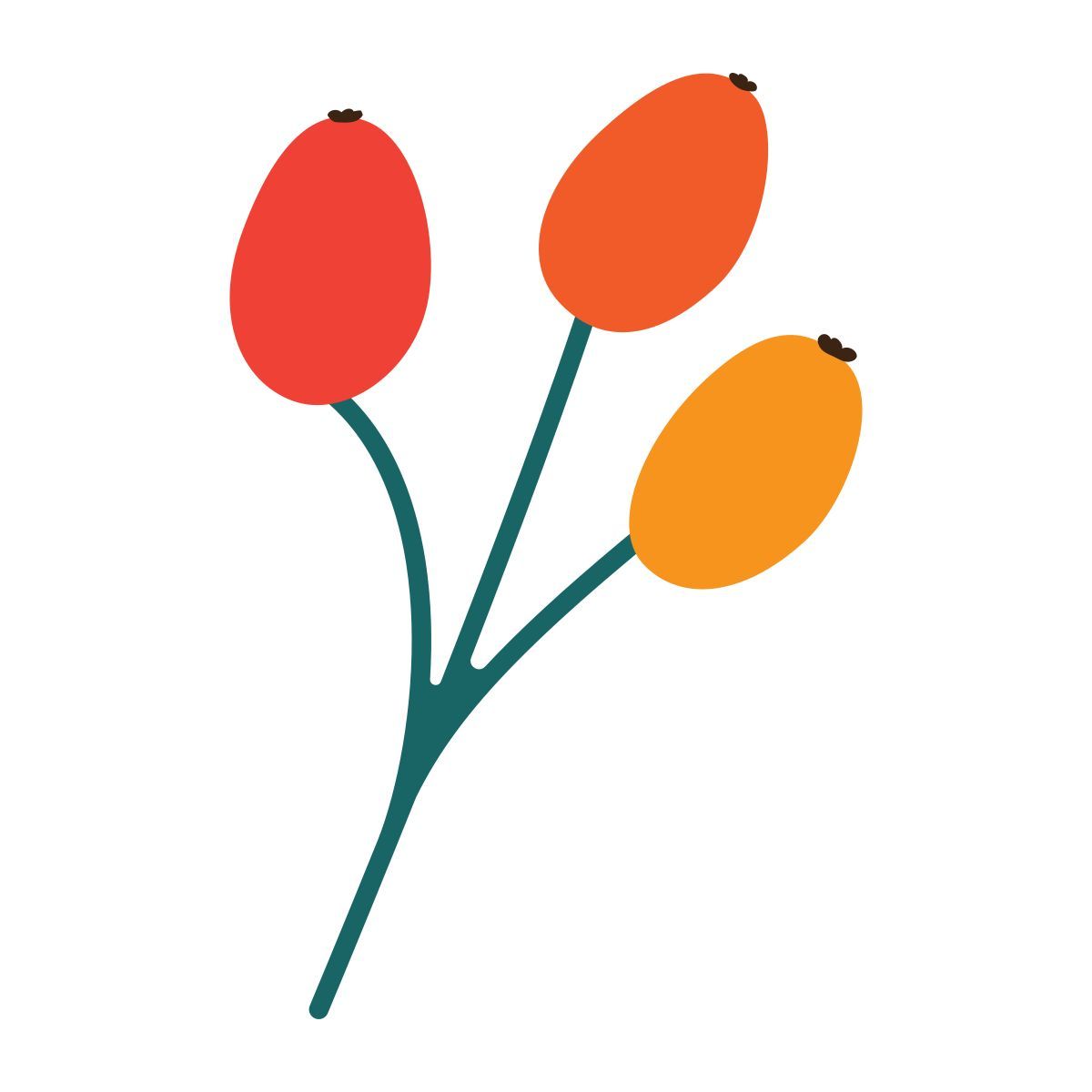 berries icon