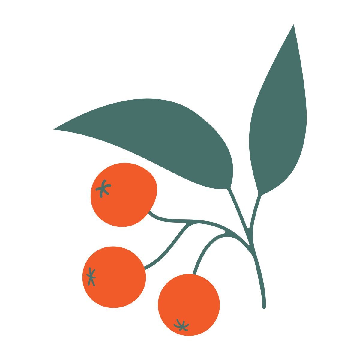 berries icon