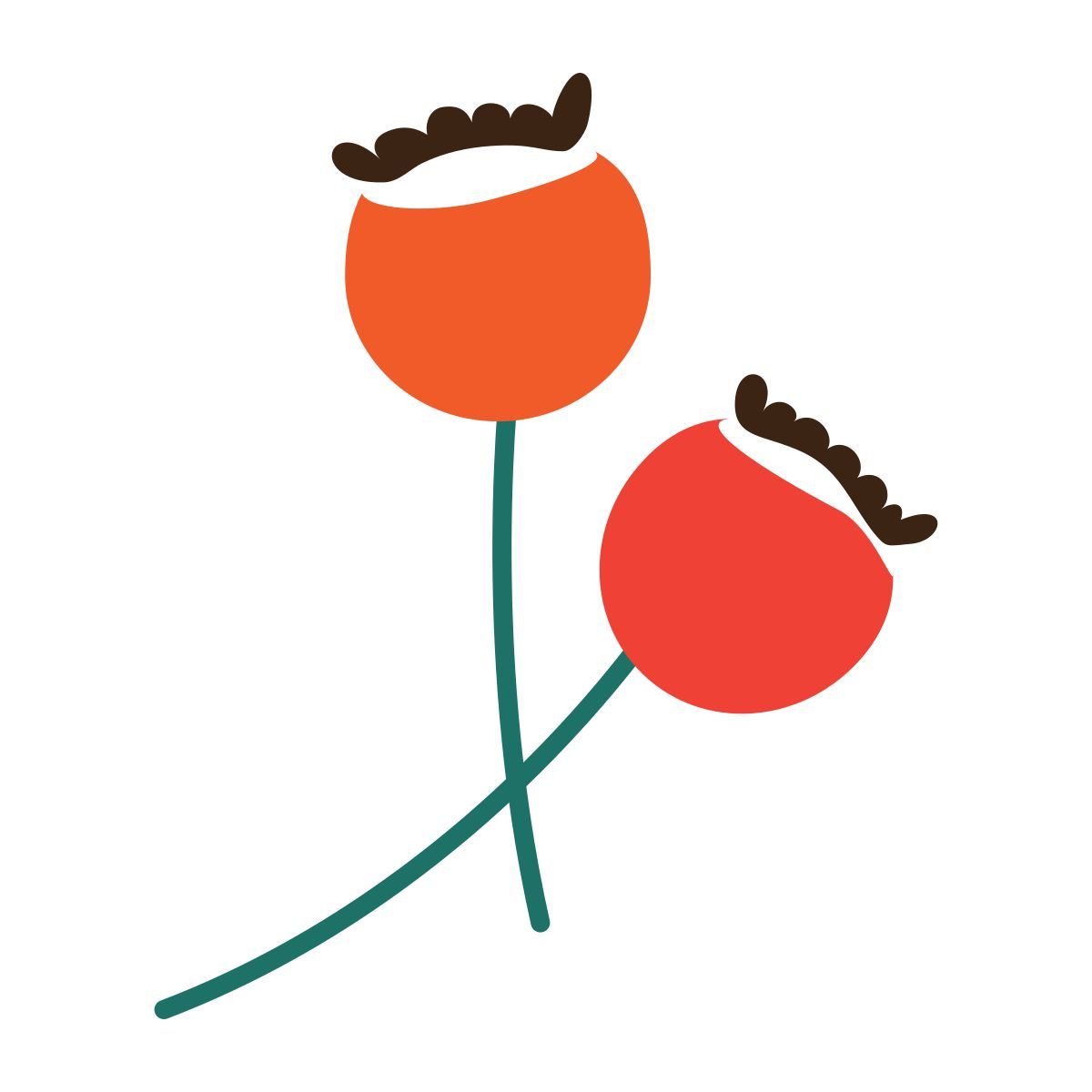 berries icon