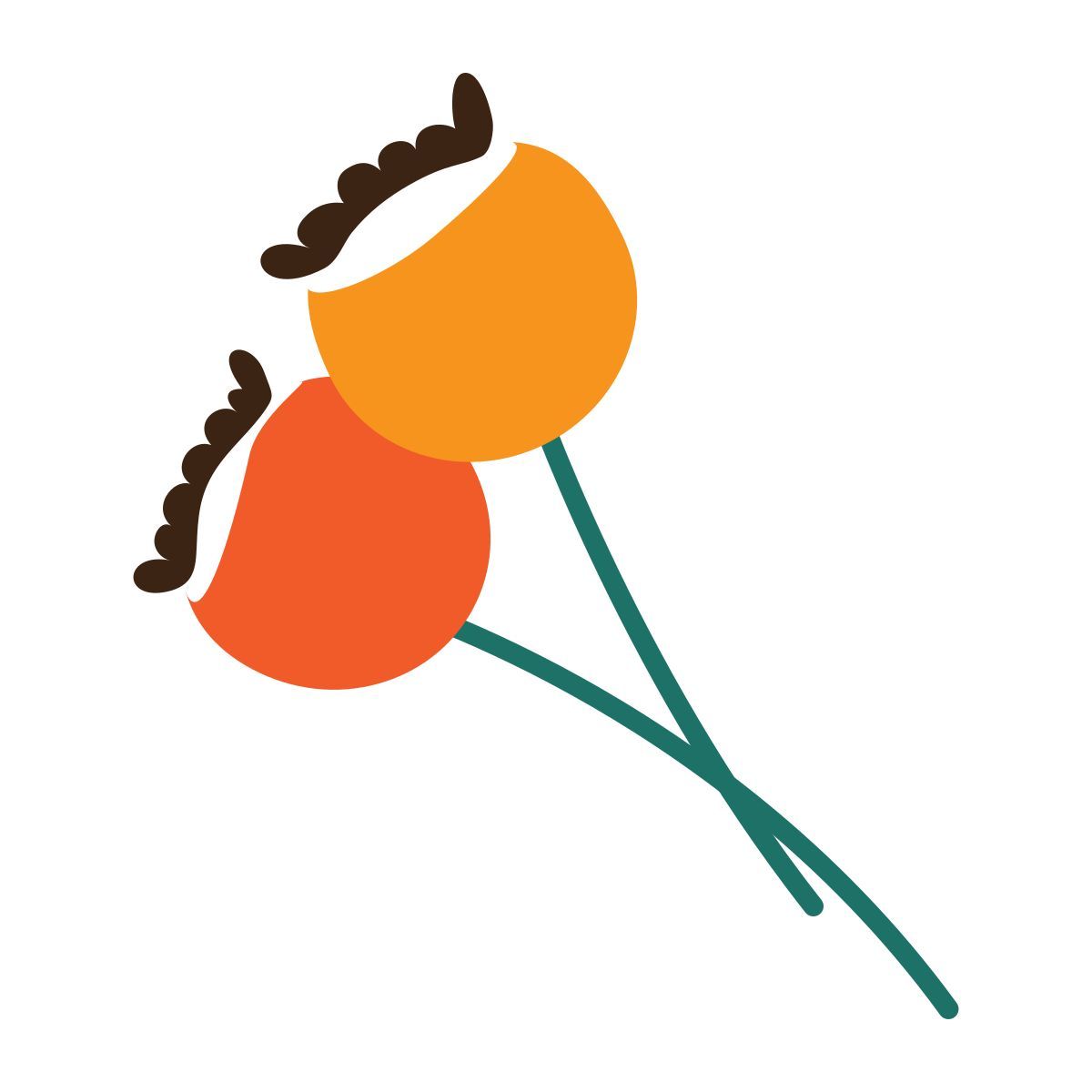 berries icon
