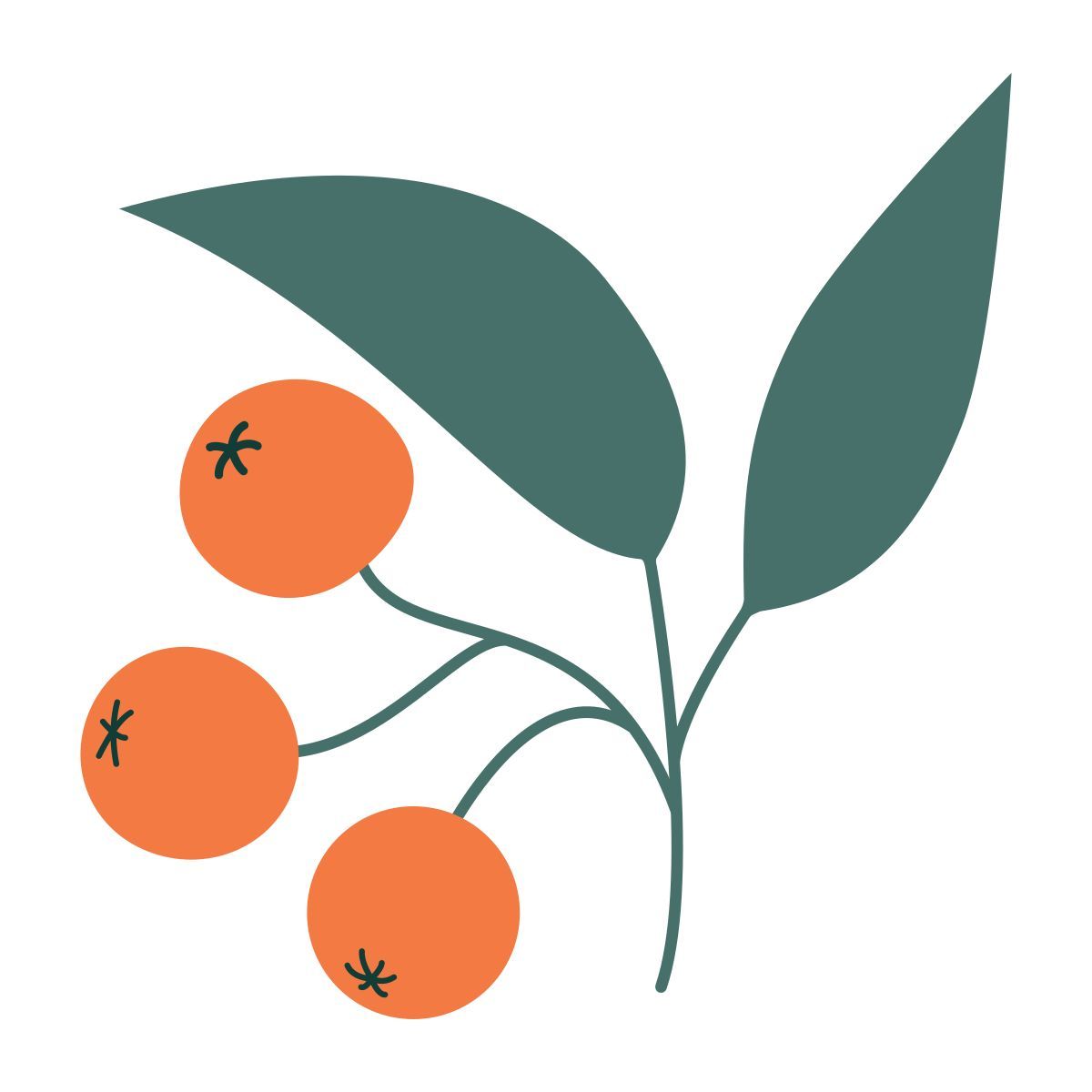 frutas vermelhas icon