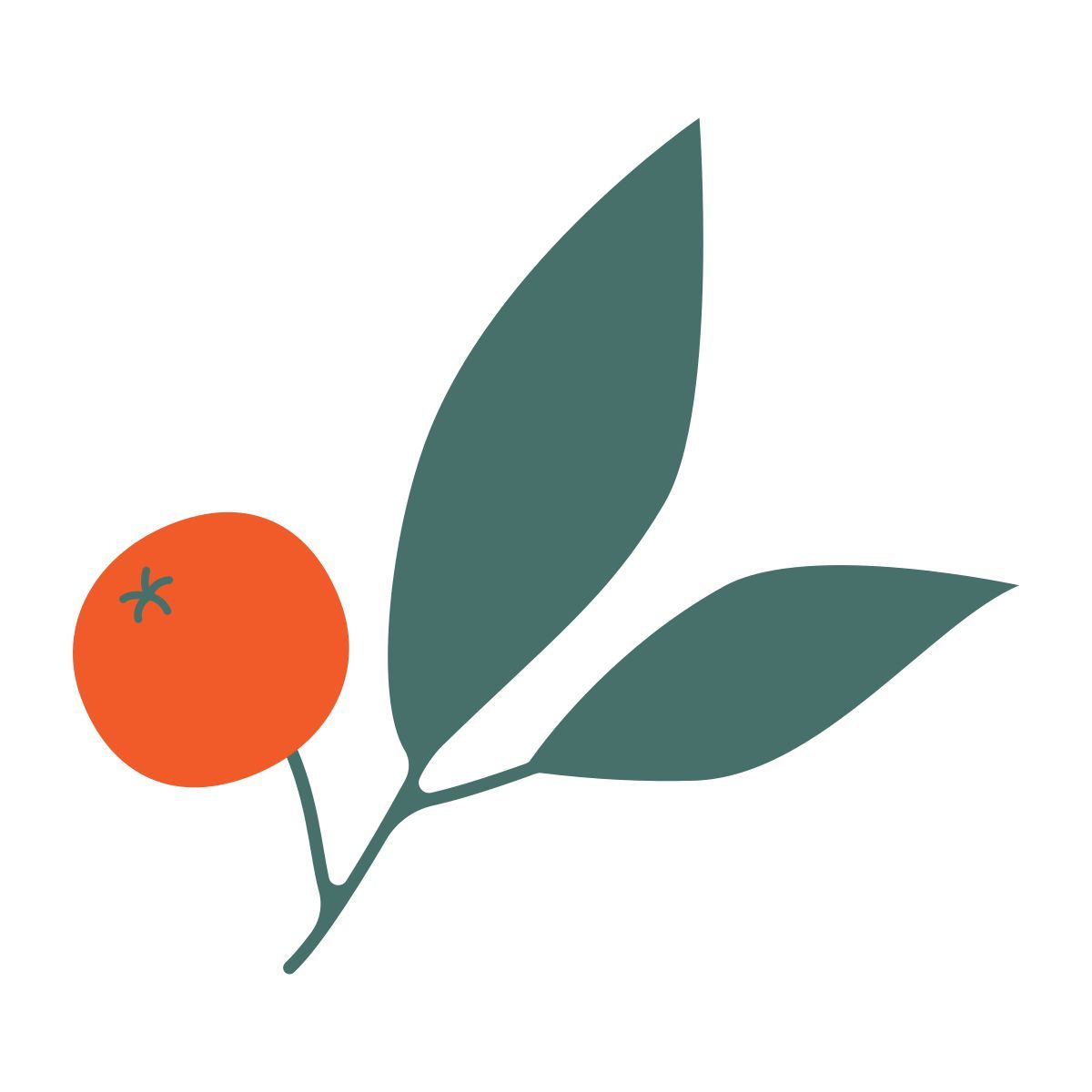 berry icon