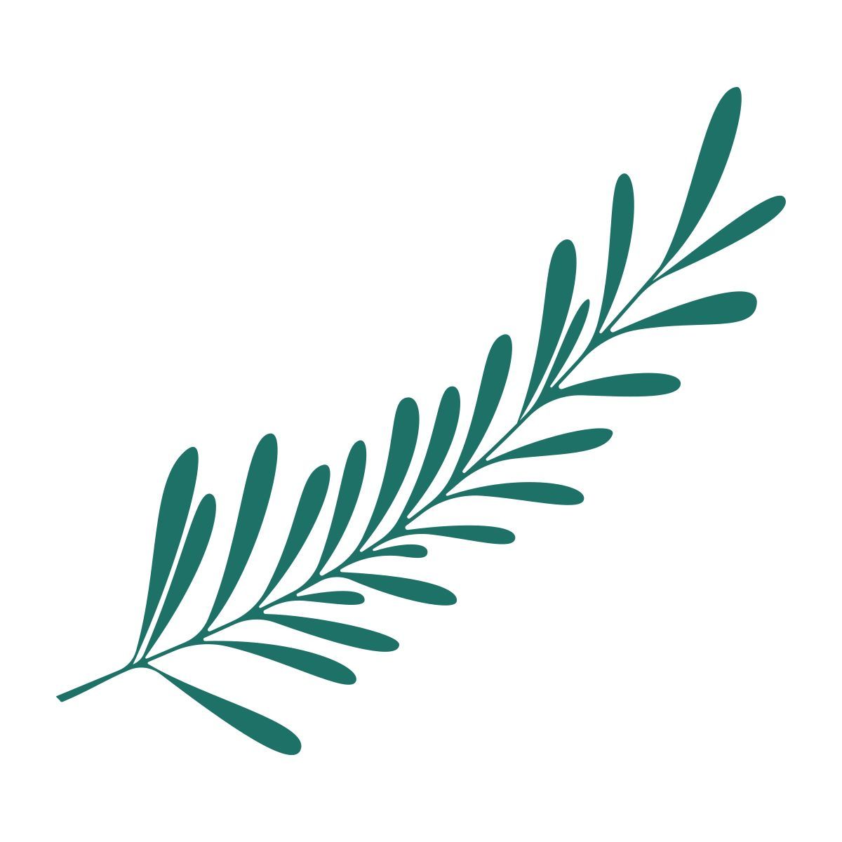 branch icon