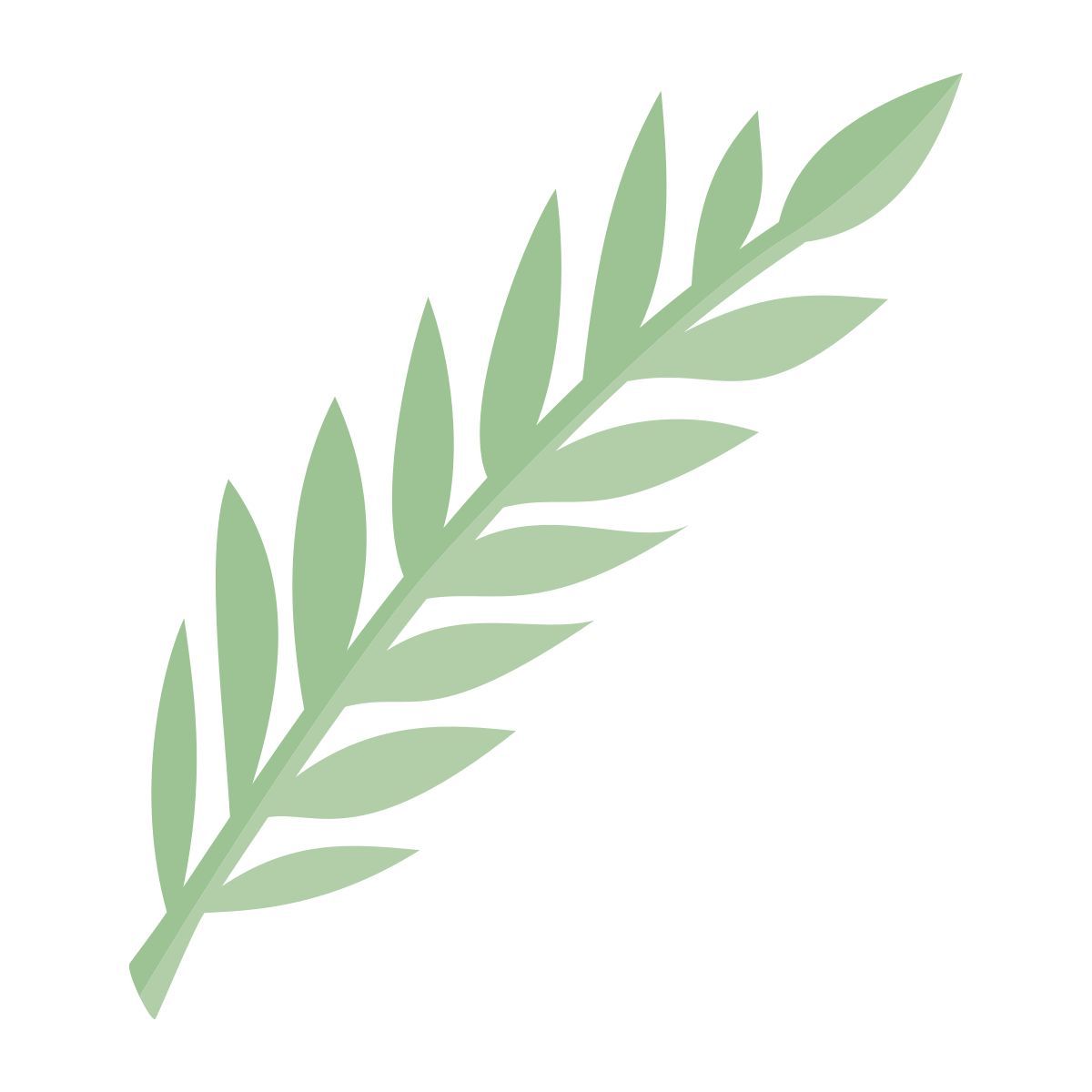 branch icon