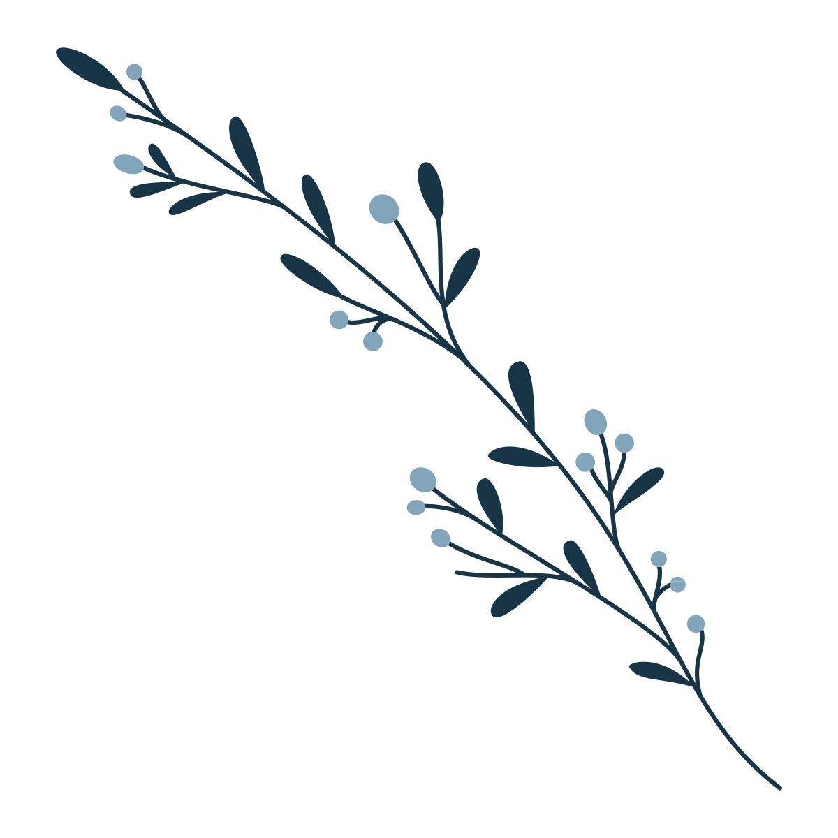 branch icon