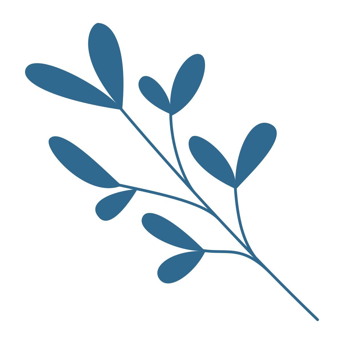 branch icon