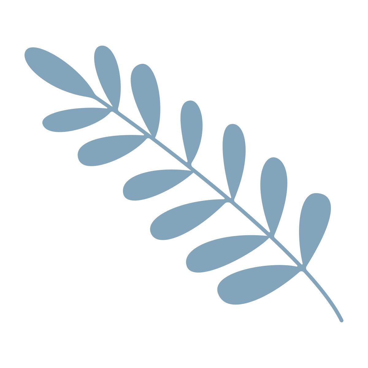 branch icon