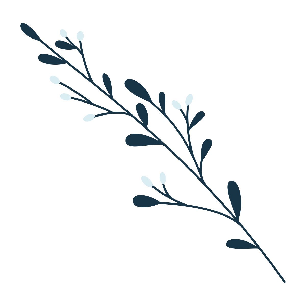 branch icon