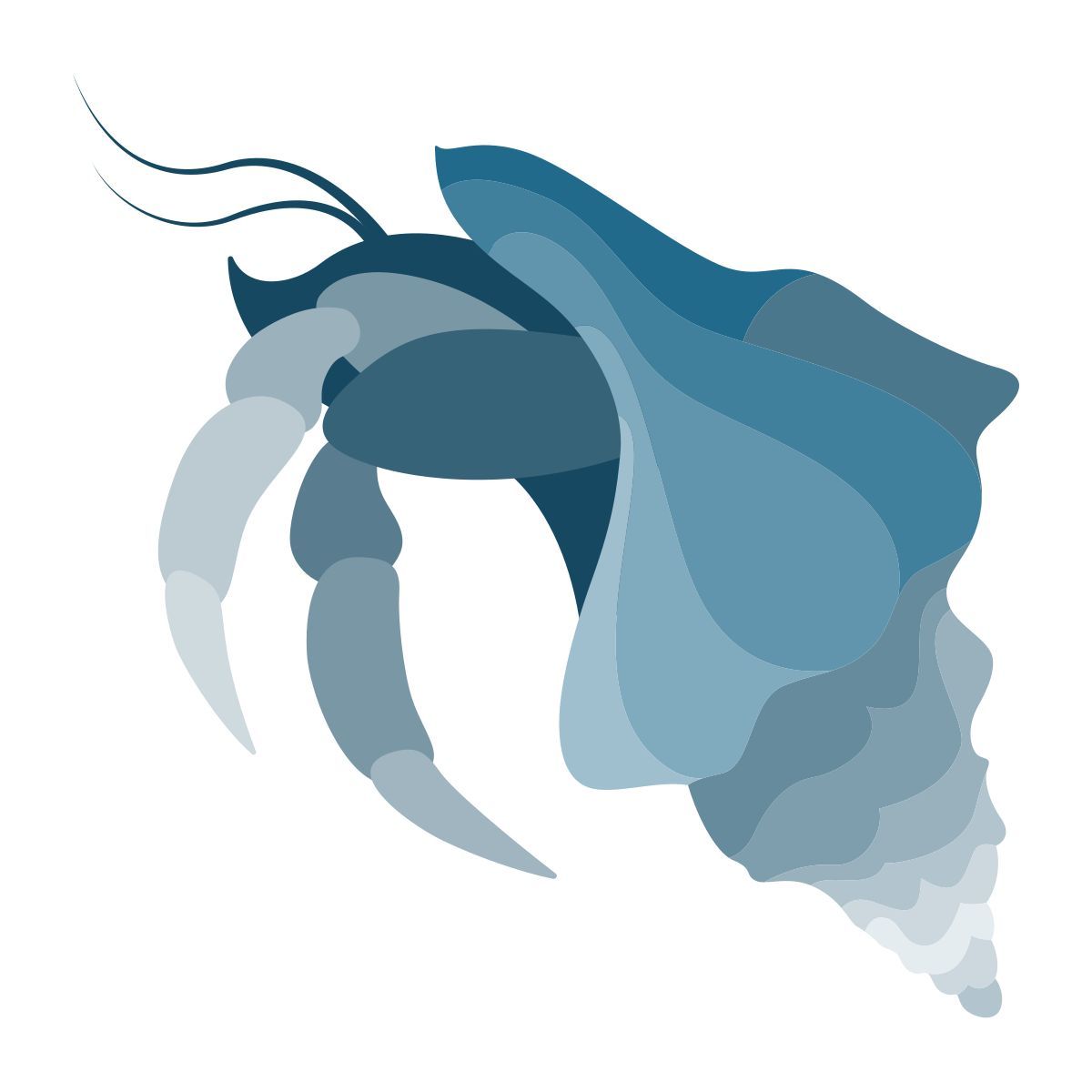 hermit crab icon